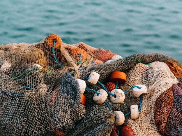 Aktion gegen illegale Fischrückwürfe mit der deutschen Umwelthilfe