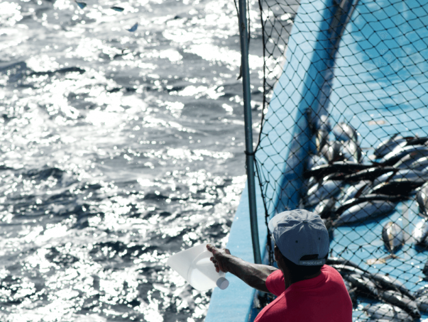 Thunfischfang mit der Hand auf Maandhoo Island