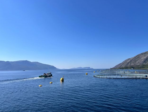Zwischen Fjord und Verantwortung: Bio-Lachszucht in Norwegen
